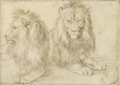 Two Seated Lions Albrecht Durer